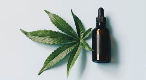 Après le CBD, la cosmétique explore les vertus du CBG