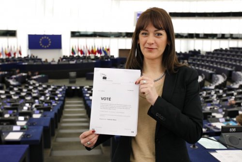 Sandrine Bélier, the Parliament's rapporteur on the convention on biological...