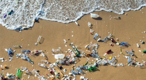 “They're everywhere”: microplastics in oceans, air and human body